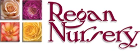 regannursery.com