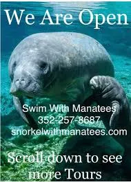 snorkelwithmanatees.com