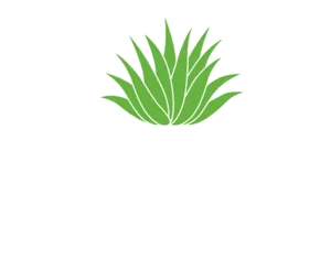 casaorozco.com