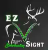 ezvsight.com